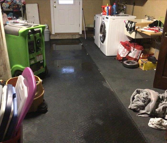 Laundry Room with carpet saturating carpet