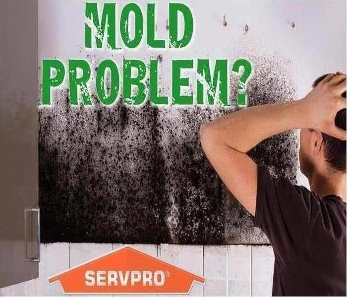 Mold Growth on Wall